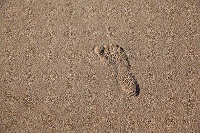 杉果“新春特惠”现已开启！《无主之地3》秒杀价¥14.9